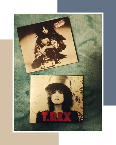 Rex the slider - t.rex,